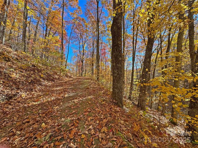 890 Panther Branch Road, Hot Springs, NC 28743