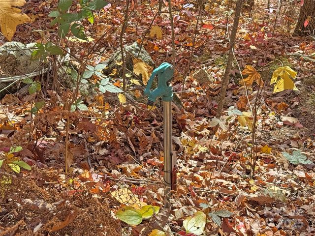 890 Panther Branch Road, Hot Springs, NC 28743