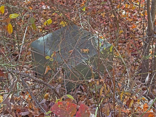 890 Panther Branch Road, Hot Springs, NC 28743