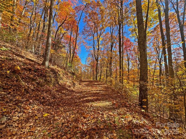 890 Panther Branch Road, Hot Springs, NC 28743