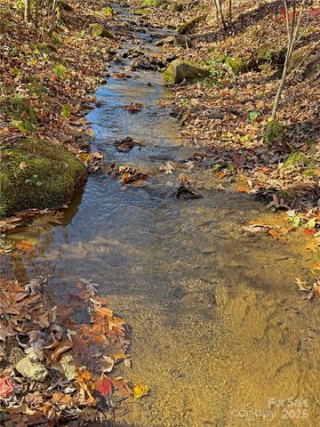 890 Panther Branch Road, Hot Springs, NC 28743