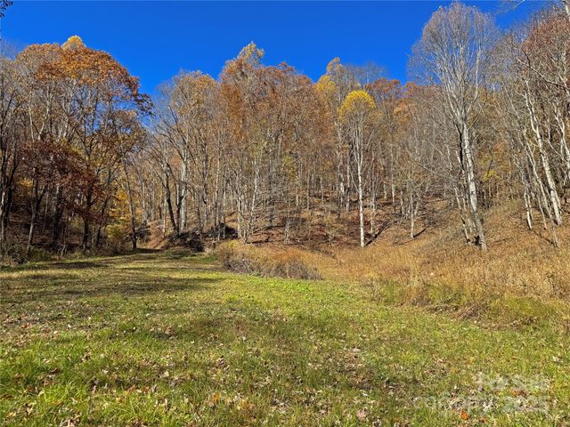 890 Panther Branch Road, Hot Springs, NC 28743