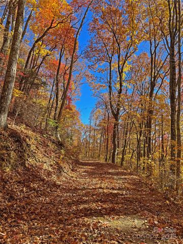 890 Panther Branch Road, Hot Springs, NC 28743