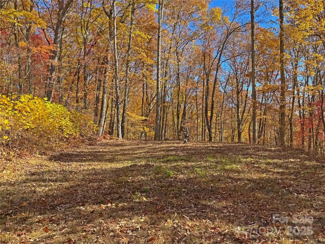 890 Panther Branch Road, Hot Springs, NC 28743