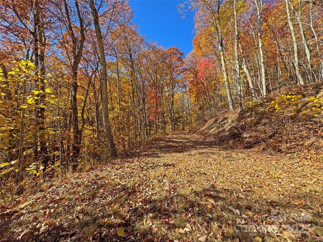 890 Panther Branch Road, Hot Springs, NC 28743