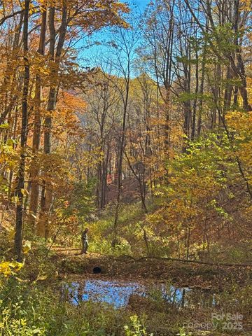 890 Panther Branch Road, Hot Springs, NC 28743