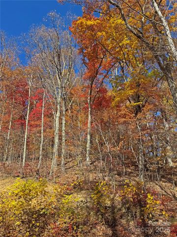 890 Panther Branch Road, Hot Springs, NC 28743