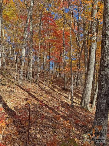 890 Panther Branch Road, Hot Springs, NC 28743