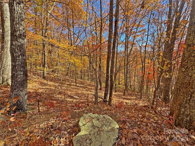 890 Panther Branch Road, Hot Springs, NC 28743