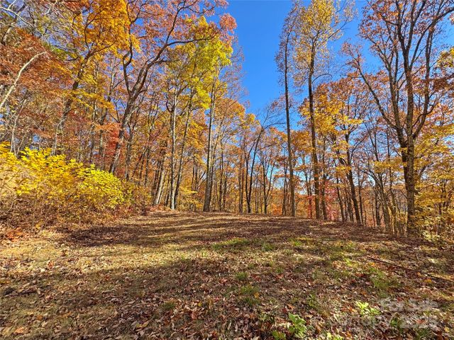 890 Panther Branch Road, Hot Springs, NC 28743