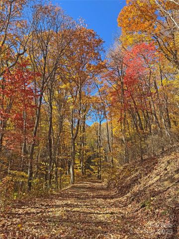 890 Panther Branch Road, Hot Springs, NC 28743