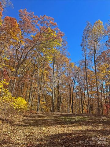 890 Panther Branch Road, Hot Springs, NC 28743