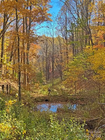 890 Panther Branch Road, Hot Springs, NC 28743