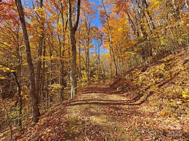 890 Panther Branch Road, Hot Springs, NC 28743