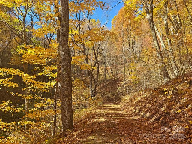 890 Panther Branch Road, Hot Springs, NC 28743