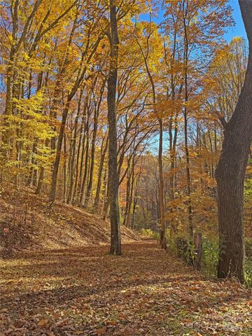 890 Panther Branch Road, Hot Springs, NC 28743