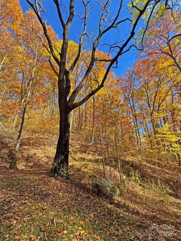 890 Panther Branch Road, Hot Springs, NC 28743