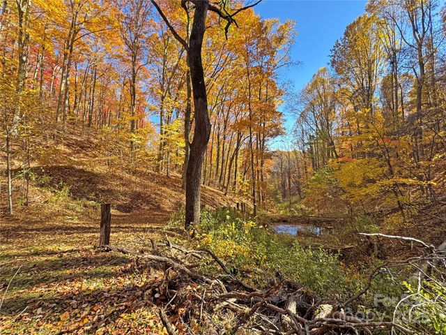 890 Panther Branch Road, Hot Springs, NC 28743