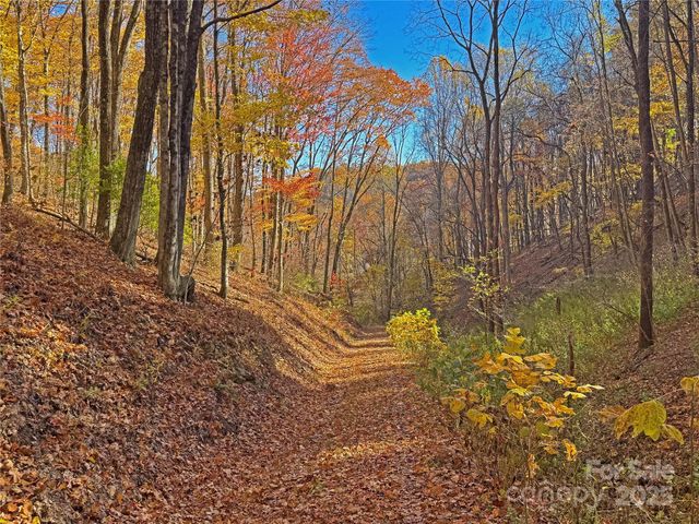 890 Panther Branch Road, Hot Springs, NC 28743