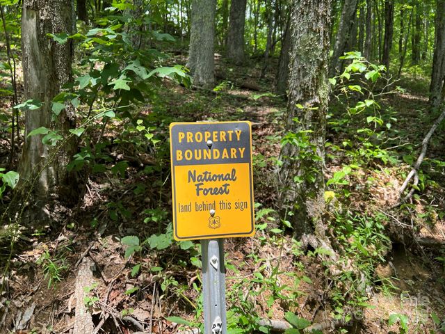 890 Panther Branch Road, Hot Springs, NC 28743