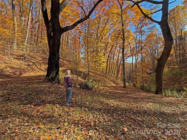 890 Panther Branch Road, Hot Springs, NC 28743