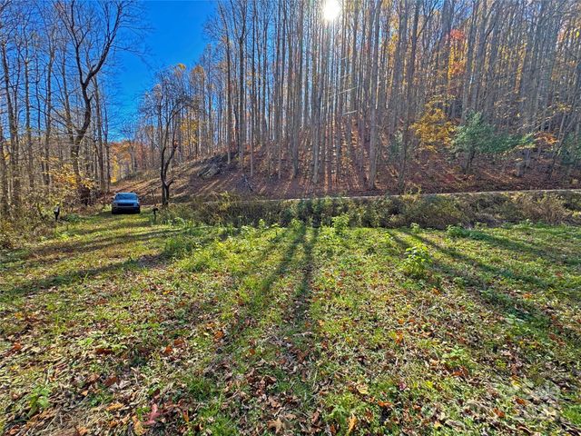 890 Panther Branch Road, Hot Springs, NC 28743