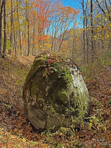 890 Panther Branch Road, Hot Springs, NC 28743