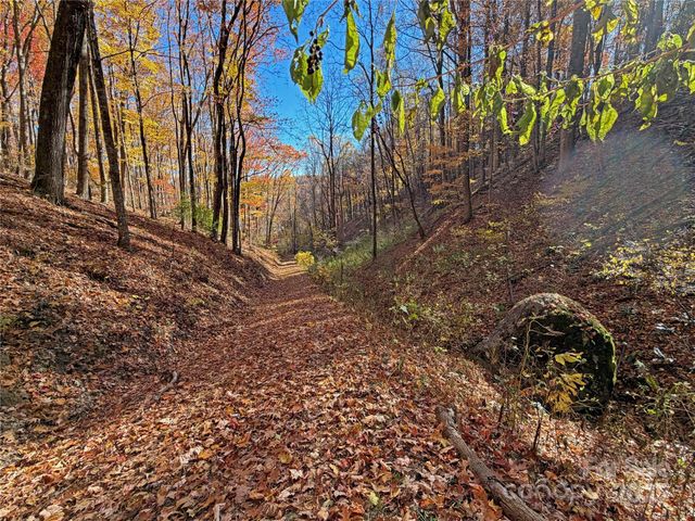 890 Panther Branch Road, Hot Springs, NC 28743