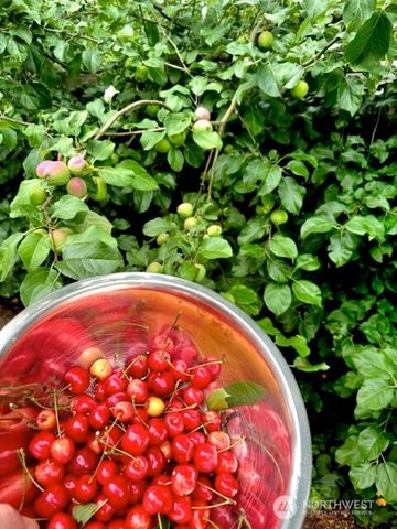 24502 NE 27th Place, Sammamish, WA 98074