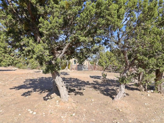 655 Frost Road, Edgewood, NM 87015