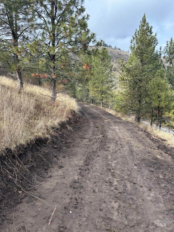 TBD Canyon Dr, Kooskia, ID 83539 photo 14