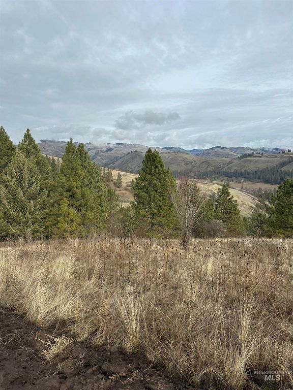 TBD Canyon Dr, Kooskia, ID 83539 photo 15