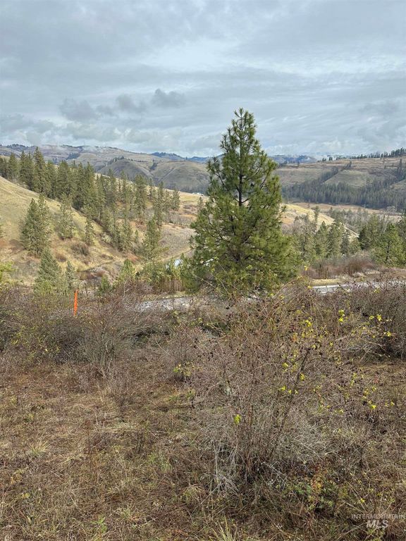 TBD Canyon Dr, Kooskia, ID 83539 photo 17