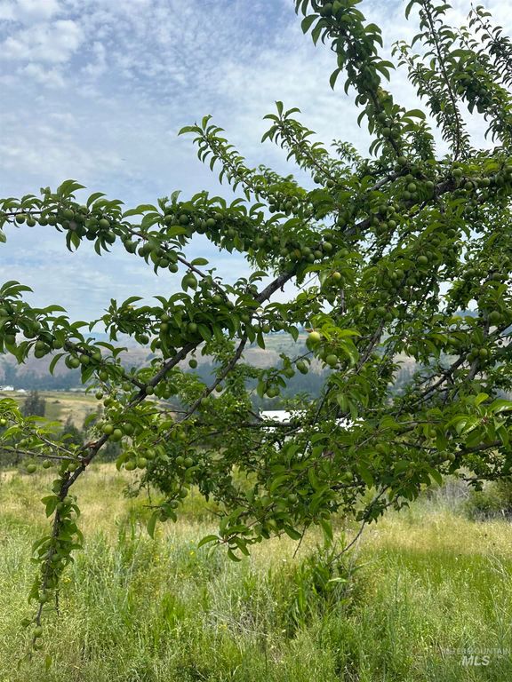 TBD Canyon Dr, Kooskia, ID 83539 photo 3