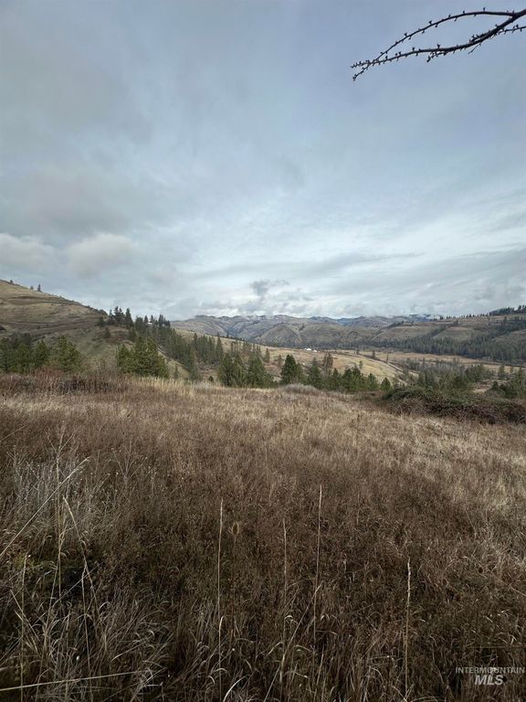 TBD Canyon Dr, Kooskia, ID 83539 photo 6