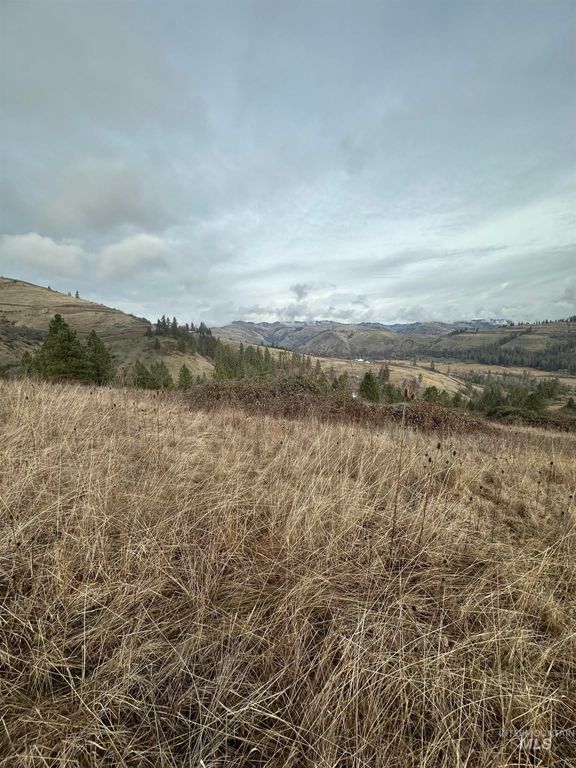 TBD Canyon Dr, Kooskia, ID 83539 photo 7