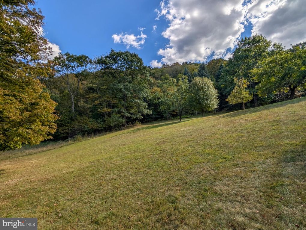 Image 63 of property listing at 353 PINE PITCH RD, Buffalo Mills, PA 15534