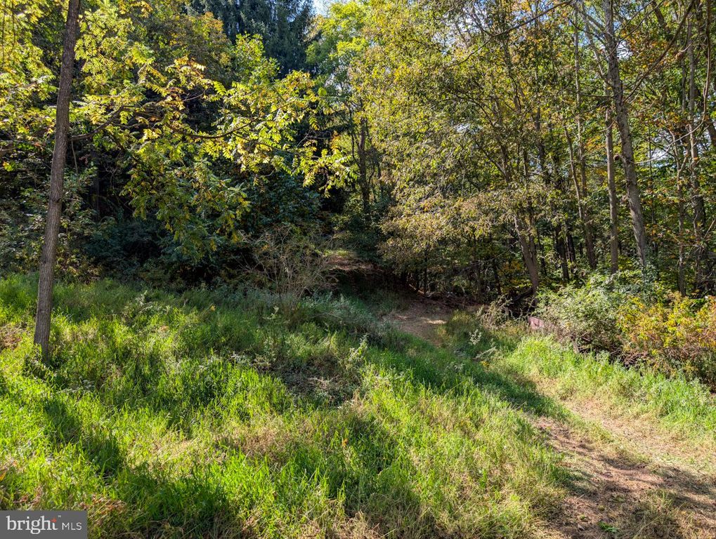 Image 70 of property listing at 353 PINE PITCH RD, Buffalo Mills, PA 15534