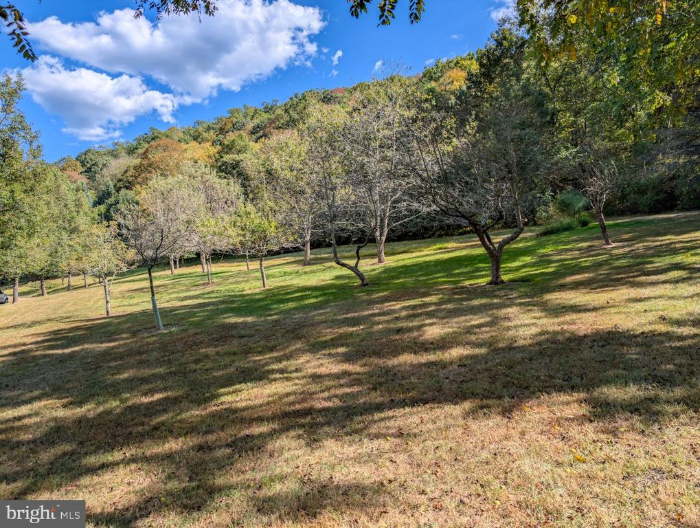 Image 71 of property listing at 353 PINE PITCH RD, Buffalo Mills, PA 15534