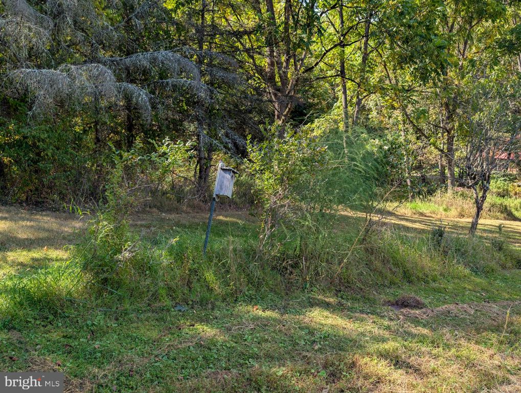 Image 72 of property listing at 353 PINE PITCH RD, Buffalo Mills, PA 15534