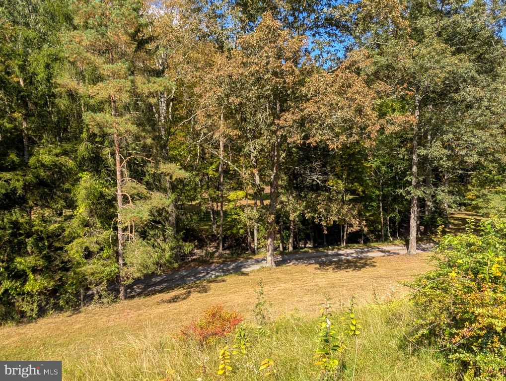 Image 81 of property listing at 353 PINE PITCH RD, Buffalo Mills, PA 15534