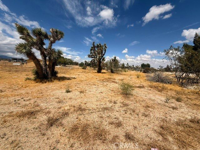 397 Joshua Hills Road, Pinon Hills, CA 92372