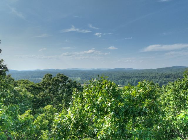 0 Walker Drive, Morganton, GA 30560