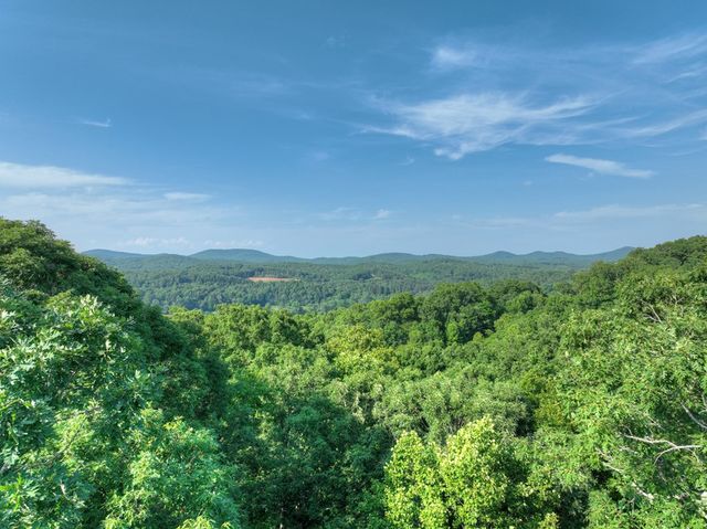 0 Walker Drive, Morganton, GA 30560