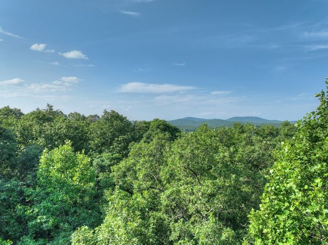 0 Walker Drive, Morganton, GA 30560