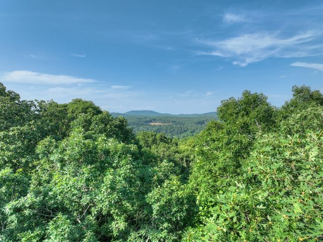 0 Walker Drive, Morganton, GA 30560