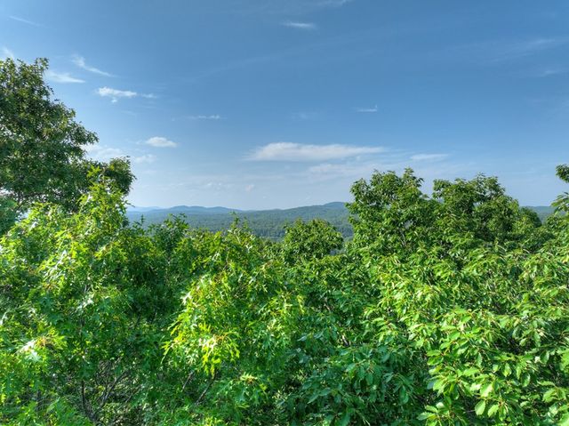 0 Walker Drive, Morganton, GA 30560