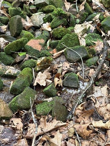 0 Walker Drive, Morganton, GA 30560