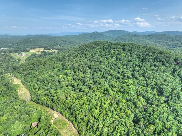 0 Walker Drive, Morganton, GA 30560