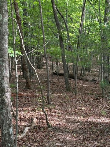 0 Walker Drive, Morganton, GA 30560